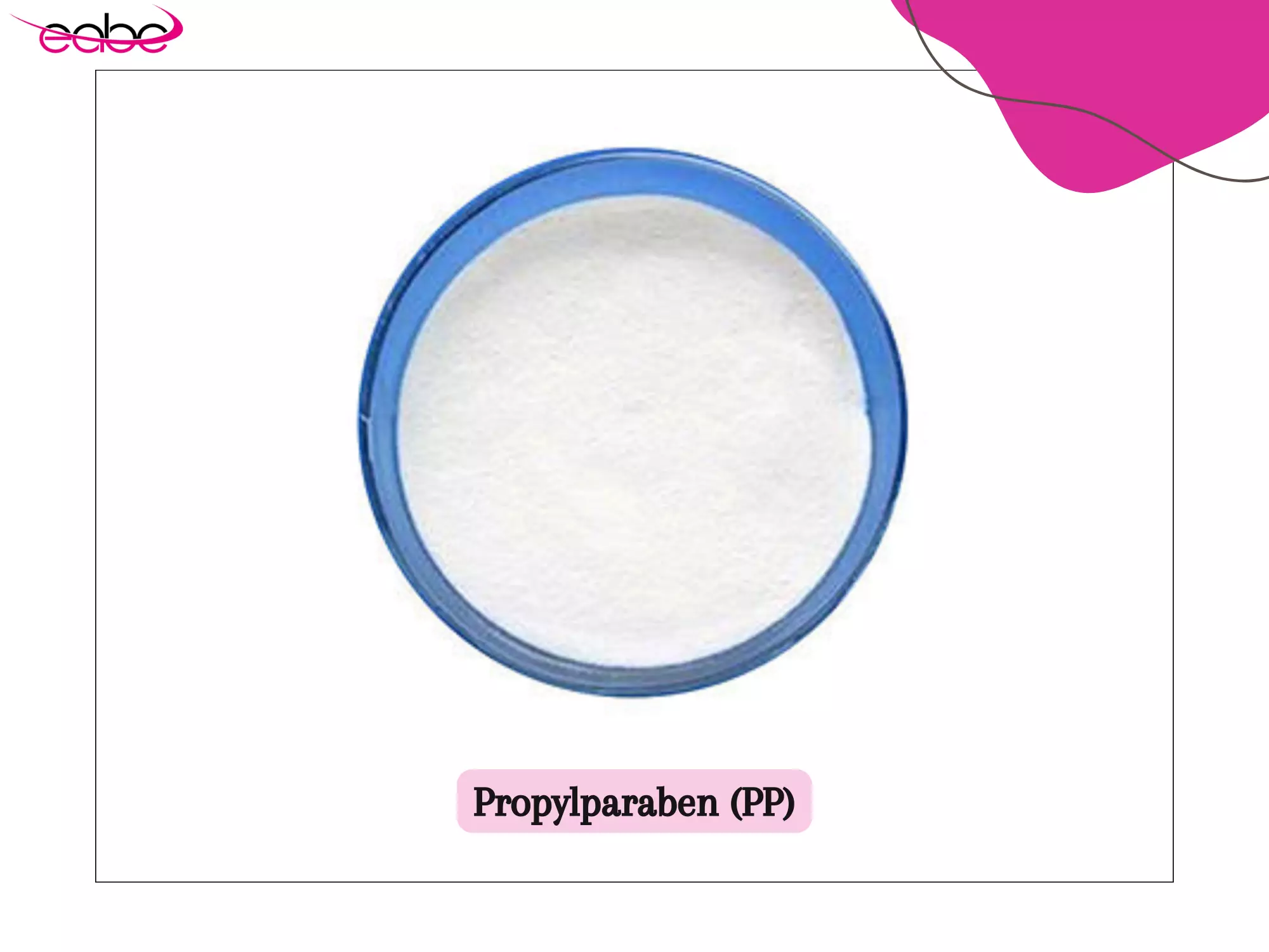 Propyl Paraben Manufacturer & Supplier - EABC Global