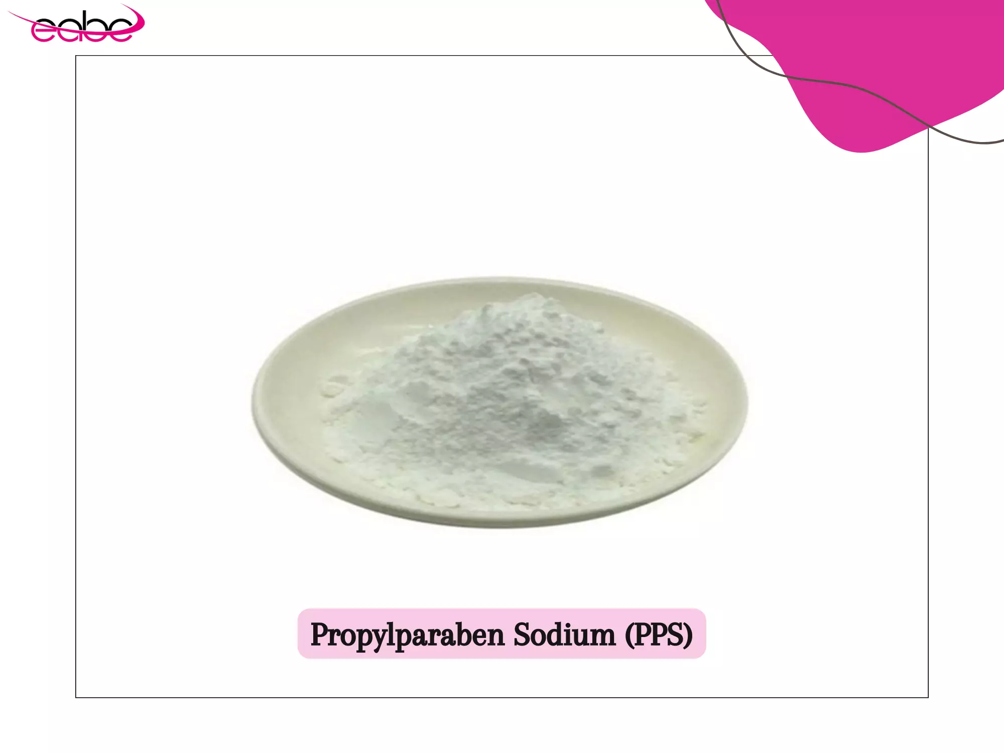 Propylparaben Sodium (PPS)
